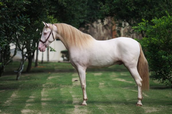Nazarin - Imagen 5