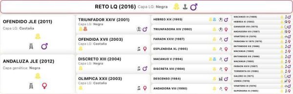 Reto - Imagen 6