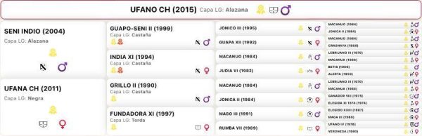 Ufano - Imagen 3