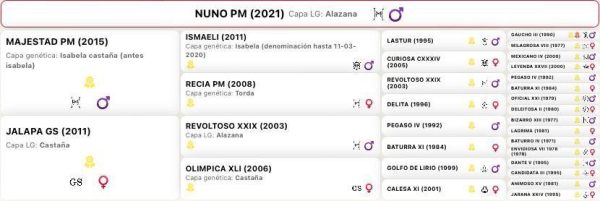 Nuno - Imagen 4