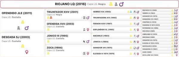 Riojano - Imagen 7