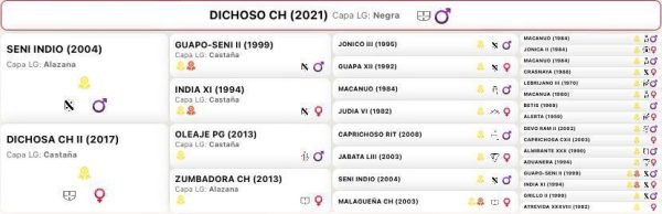 Dichoso - Imagen 6