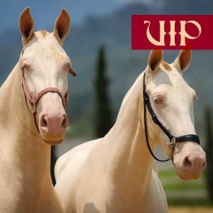 Entradas VIP Evento Hacienda La Leyenda